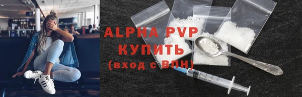 СК Белокуриха