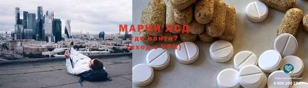 спиды Богданович