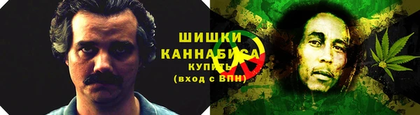 СК Белокуриха