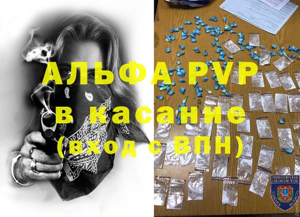СК Белокуриха