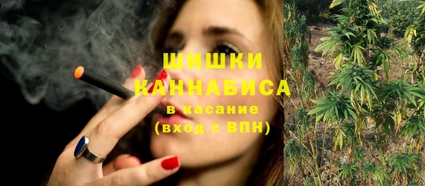 мдпв Тавда