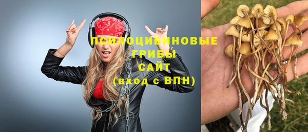 мдпв Тавда