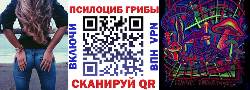 Галлюциногенные грибы Psilocybe  Оха 